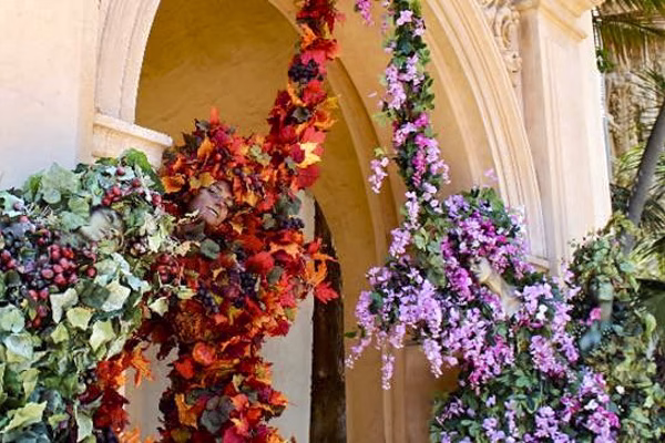 Living vines for corporate events, weddings, parties or any kind of celebration
